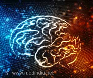 New Road Map Might Make It Easier To Transport Drugs to Brain New Road Map Might Make It Easier To Transport Drugs to Brain