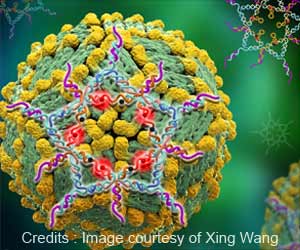 New Ultra-sensitive Test for Dengue Virus Created New Ultra-sensitive Test for Dengue Virus Created