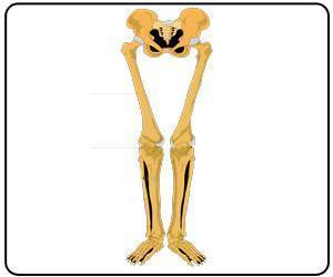 Maintaining Bone Health During Winter Season Maintaining Bone Health During Winter Season