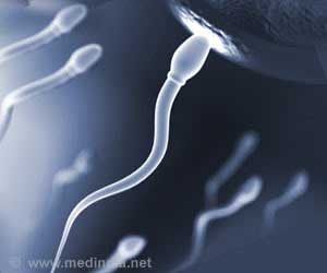 New Gene Variant Linked to Male Infertility New Gene Variant Linked to Male Infertility
