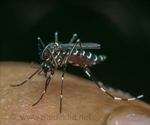 New Drug Target Stops the Spread of Malaria New Drug Target Stops the Spread of Malaria