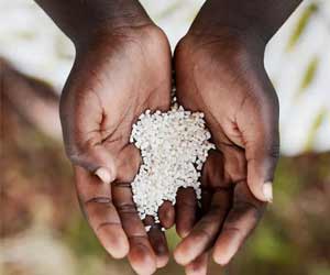 One-third of Poorer Countries Face Both Extremes of Malnutrition: WHO One-third of Poorer Countries Face Both Extremes of Malnutrition: WHO