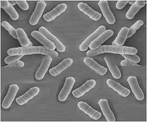 Probiotic Yeast May Help Treat Drug-resistant Fungal Infections Probiotic Yeast May Help Treat Drug-resistant Fungal Infections