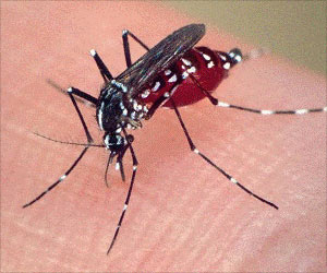 Dengue Outbreak Kills 27, Infects 44,000 People in Bengal Dengue Outbreak Kills 27, Infects 44,000 People in Bengal
